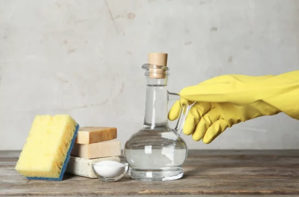 Horticultural Vinegar